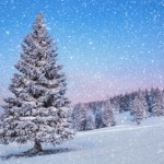 winter, yule, snow, Universal Life Church, interfaith minister