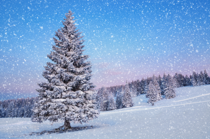 winter, yule, snow, Universal Life Church, interfaith minister