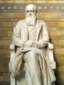 Darwin Day