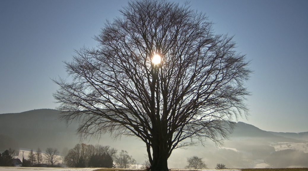 The winter solstice celebration centered around the sun returning.