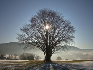 The winter solstice celebration centered around the sun returning.