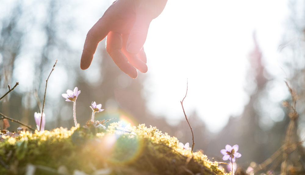 An outstretched hand reaches for the moss covered ground.