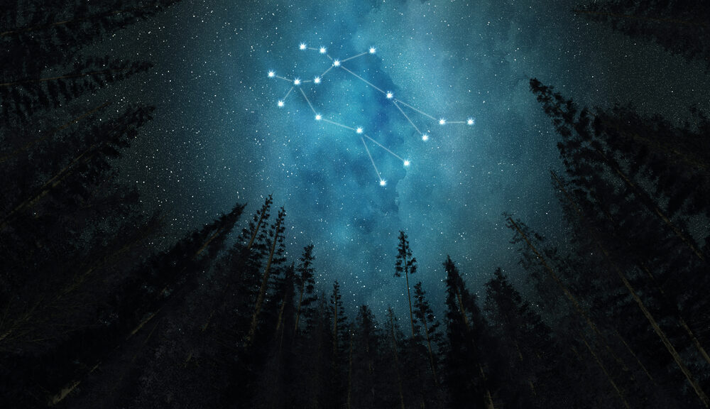 An artist's depiction of Gemini through the trees.