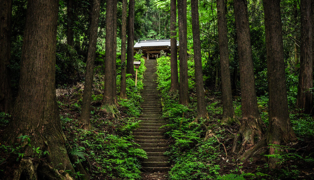 A shrine dedicated to Shintoism sits at the top of the stairs in the woods.