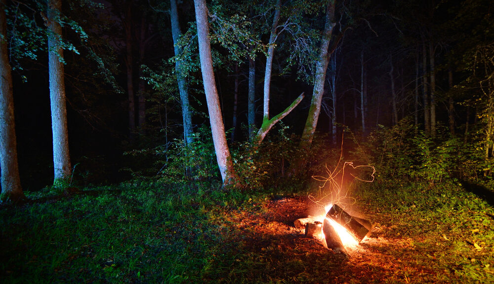 A bonfire glows in the forest in the middle of the night.