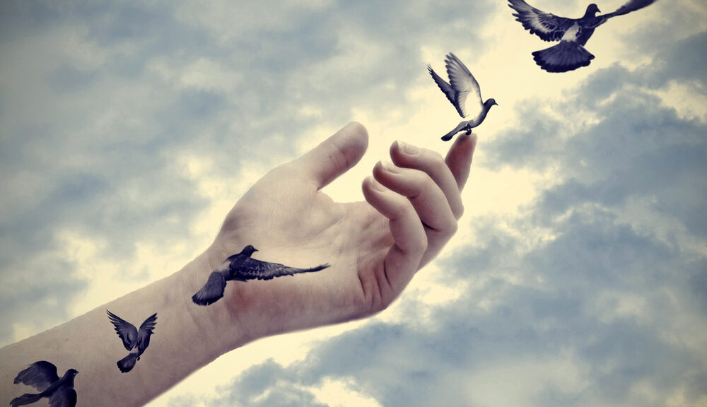 A hand demonstrates letting go by releasing a bird.