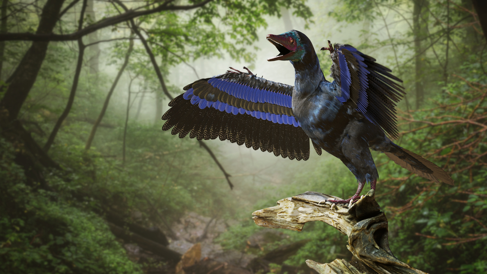 An artist's depiction of a prehistoric bird.