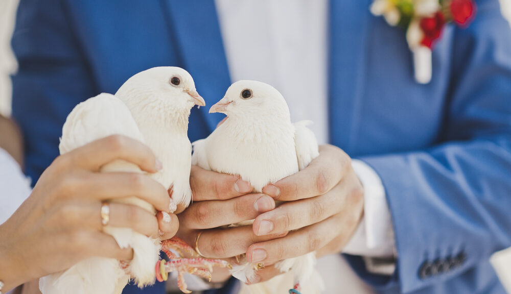 The bride and groom hold two doves that they will soon set free--just one of many marriage customs from around the world.