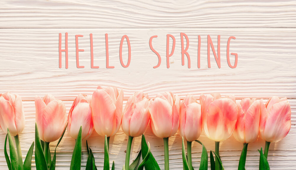 piece of wood that says hello spring with tulips spiritual