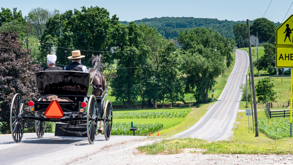 An Amish couple move down a road in a buggy.