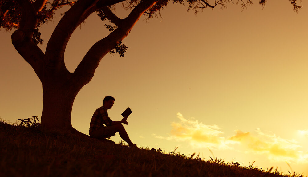 A man reads a book beneath a tree.