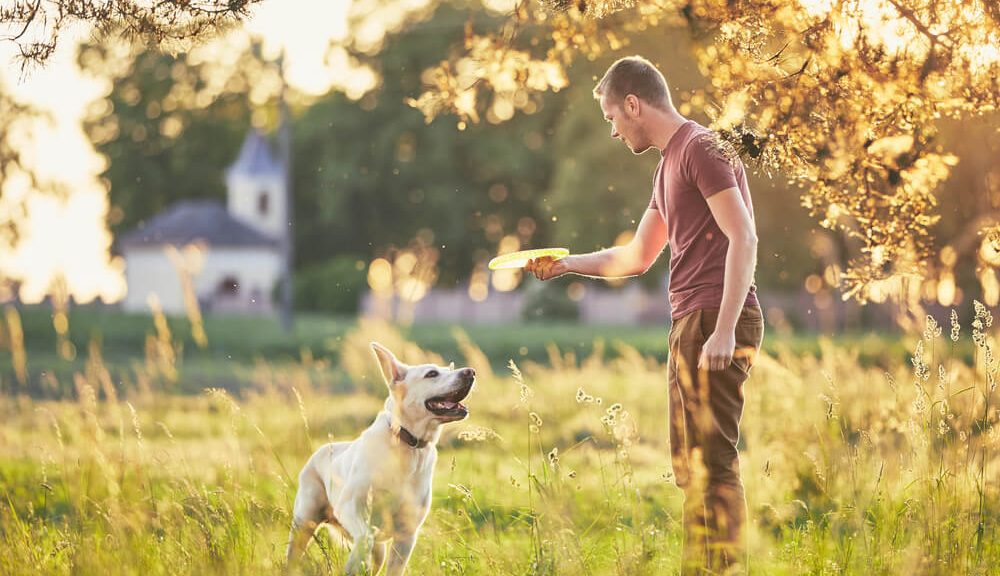 Can you baptize your pet?