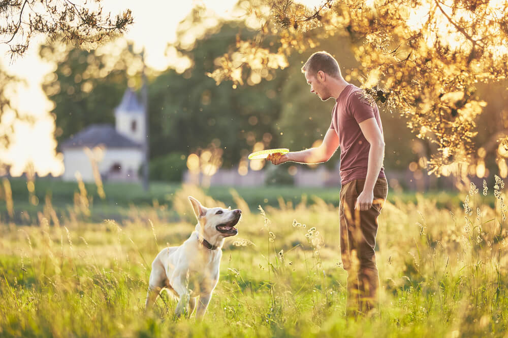 Can you baptize your pet?
